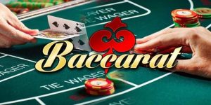 Ảnh đại diên baccarat là gì