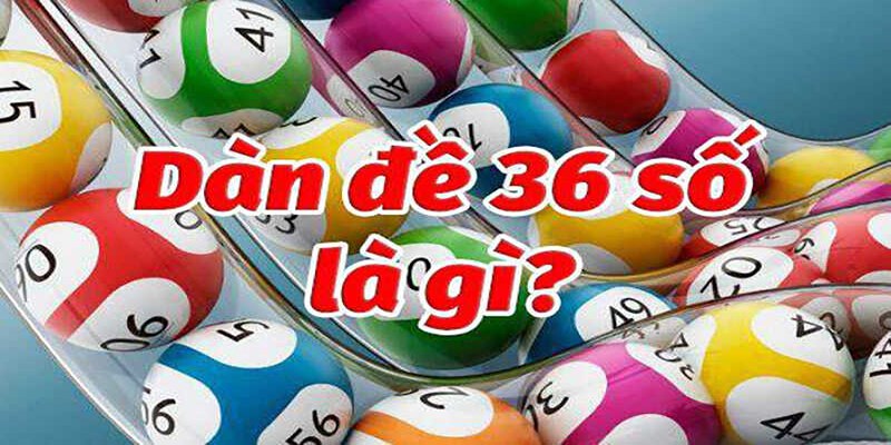 Hướng dẫn cách nuôi dàn đề 36 con trong 3 ngày